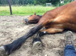 Slaapje in de baan